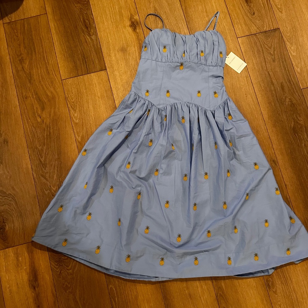 Free Assembly Women Blue Pineapple Embroidered Midi Dress Skyscraper Blue M 8-10